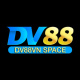 dv88vnspace's avatar