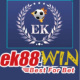 ek88win's avatar