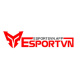 esportvnapp's avatar