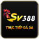 sv388casa's avatar