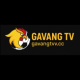 gavangtvvcc's avatar
