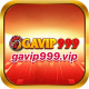 gavip999vip's avatar