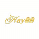 hay88town's avatar
