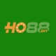 ho88diy's avatar