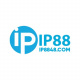 ip8848com's avatar
