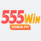 555winfyi's avatar