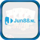 jun88nl's avatar