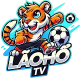 laohotvdev's avatar