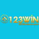 0123winvncom's avatar