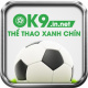 ok9innet's avatar