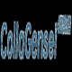 collagenseicom's avatar