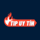tipuytincom's avatar