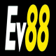 Ev88expert4's avatar