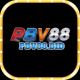 Pbv88bid1's avatar