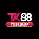tx88surf4's avatar