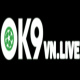 Ok9vnlive3's avatar