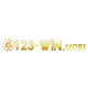 123winmobi's avatar