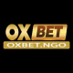 oxbetngo's avatar