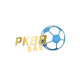 pk88bar's avatar