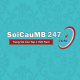 soicaumb247com's avatar