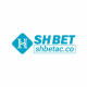 shbetacco1's avatar
