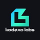 Kodexo Labs's avatar