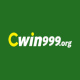 cwin999org's avatar