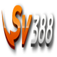 dagasv388bizcom1's avatar
