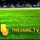 Thevangtvvn's avatar