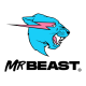 Shop MrBeast's avatar