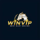 winvipdev's avatar