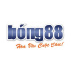 nhacaibong88wiki's avatar