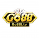 go88americancopper's avatar