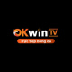 okwintvnet's avatar