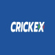 turkpostnet's avatar