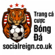 socialreigncouk's avatar