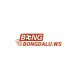 bongdaluwss's avatar