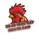daairorg's avatar