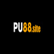 PU88's avatar
