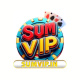 sumvipin1's avatar