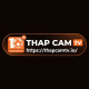 thapcamtvio's avatar