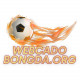webcadobongdafun's avatar