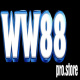 ww88prostore's avatar