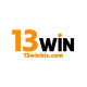 13winbizcom's avatar