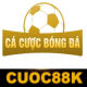 cacuocbongda's avatar