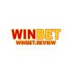 winbetreview's avatar