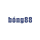 bonggreen's avatar