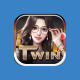 twin68cam's avatar