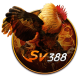 sv388vnhost's avatar