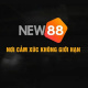 new88racom1's avatar